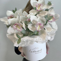 7 белых орхидей в шляпной коробке